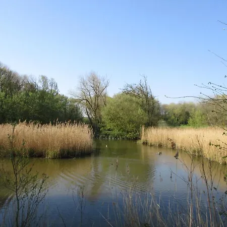Les Terrasses2 Lägenhet