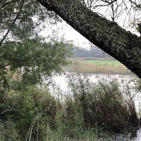 Les Terrasses2 Apartment