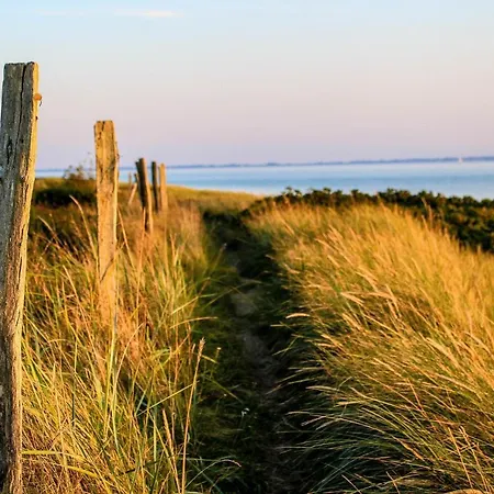 Les Terrasses2 * Oostende